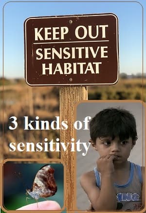 3 photos: a sign saying 'Sensitive Habitat,' a butterfly sitting delicately on a finger, & a sensitive, sad-looking boy