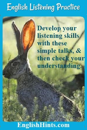 photo of a jackrabbit with large ears. 'Develop your listening skills with these simple talks, & then check your understanding.'