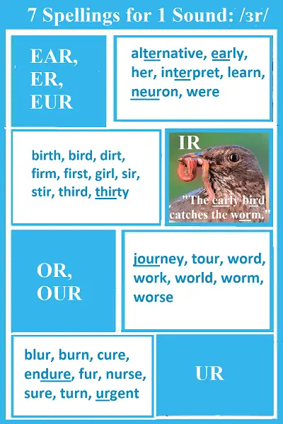 8 boxes with spellings for one sound: 4 give its possible letter combinations: EAR, ER, EUR/ IR (+ a picture of a bird with a worm)/ OR & OUR/ & UR, paired with 4 boxes with words for each spelling.