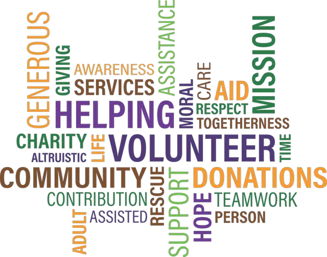 a word cloud of words relating to NGOs: volunteer, community, donations, helping, assistance, mission, contribution, generous, etc.