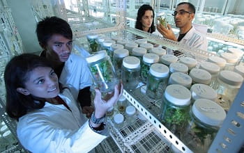 Scientists with seedlings in jars, testing future foods