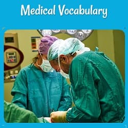 title (Medical Vocabulary) and photo of a surgical team at work