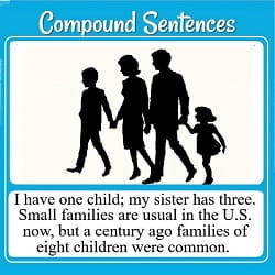 Title, & silhouette of a family walking together. 'I have one child; my sister has three. Small families are common in the U.S. now, but a century ago, families of eight children were common.'