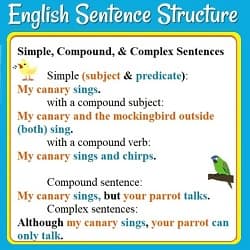 Examples of simple, compound, & complex sentences: 'My canary sings.' (etc.) 'My canary sings but your parrot talks.'(& picture of a parrot) 'Although my canary sings, your parrot can only talk.'