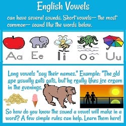 'English Vowels can have several sounds. Short vowels... sound like...' A (with an apple), E (& an elephant), I (insect), O (octopus) & U (umbrella.) Then text & pictures for long vowels.