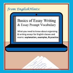 Picture of a laptop. Text on the screen: 'Basics of Essay Writing & Essay Prompt Vocabulary... organizing & writing essays for English classes and exams: explanations, examples, & practice.