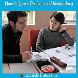 How to learn professional Vocabulary, with a photo of two professionals discussing or comparing some documents
