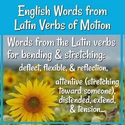 50 Greek and Latin Root Words