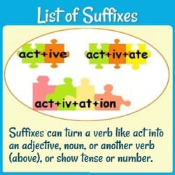 Puzzle pieces linked together to show 'active,' 'activate,' & 'activation.'
Text: 'Suffixes can turn a verb like act into an adjective, noun, or another verb (above) or show tense or number.'