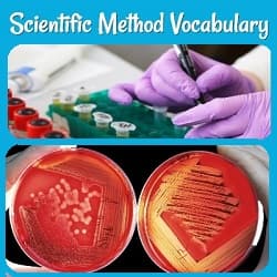 2 illustrations of gloved scientists at work: one making notes on test tubes and another holding two Petri dishes with bacterial cultures.