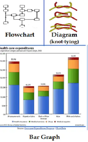 Health Charts And Graphs