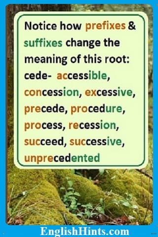 More tree roots in the background, and text 'Notice how prefixes and suffixes change the meaning of this root: cede- accessible, concession, excessive, precede... recession, succeed, unprecedented'