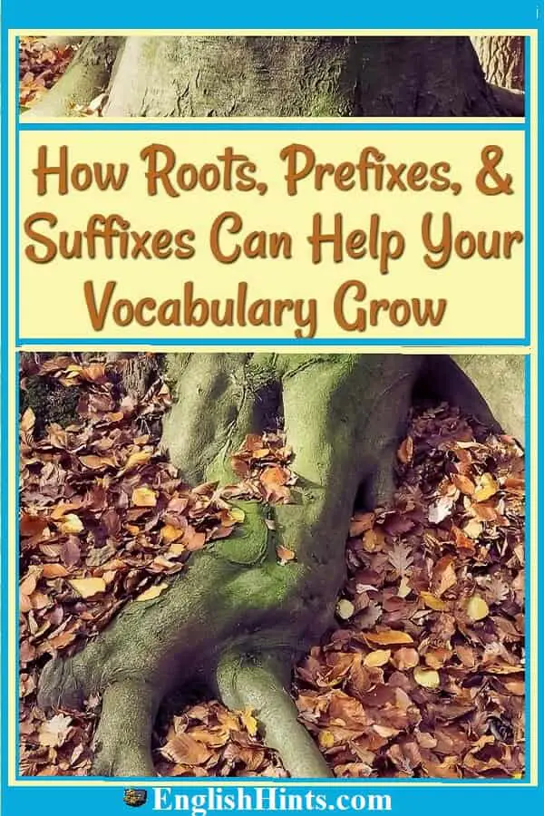 a picture of a tree with roots showing, and the title 'How roots, prefixes, & suffixes can help your vocabulary grow.'