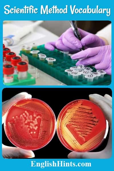 2 illustrations of gloved scientists at work: one making notes on test tubes and another holding two Petri dishes with bacterial cultures.