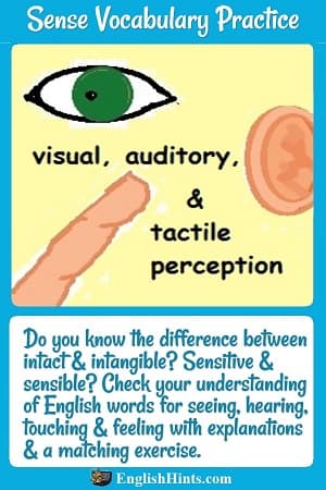 'Visual, auditory, & tactile perception': an eye, an ear, & a finger. 'Check your understanding of English words for seeing, hearing, touching, & feeling with explanations & a matching exercise.'