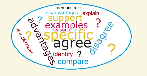essay for organization essay for organization